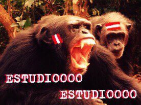 agus_coppari's tweet photo. @LuquitaRodrigue https://t.co/KKiYuKY0lM