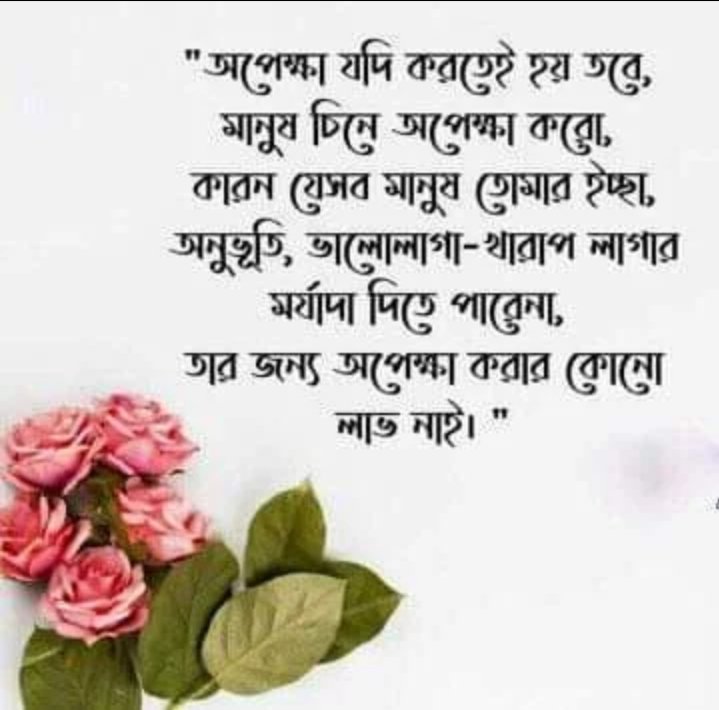 ShahMonir8's tweet photo. https://t.co/6zV2xiwgtr