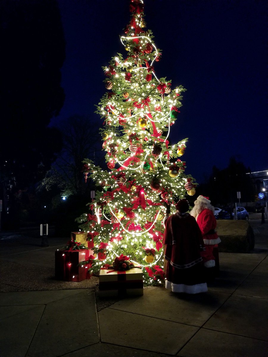 frontdoorback's tweet photo. @CityofHillsboro #HollyDays tree lighting this past weekend. Conducted virtually and worth driving by to see for yourself. Bringing much needed cheer to the last few weeks of the year. Shout out to NWLasting Impressions for the creative talent they bring to the table. https://t.co/k1lWBUWZLu