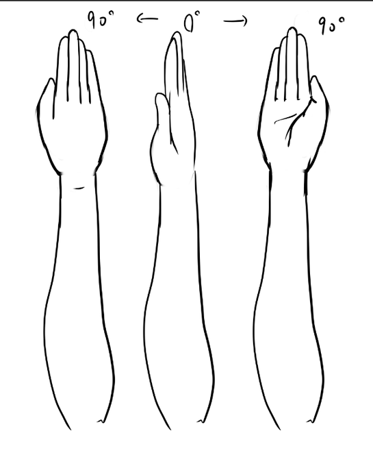 @necoraw 基点を0°にすると手首(前腕)も内外の回転90°ずつになります。
肩関節は構造上ほとんど肘が内側には回転しないので90°くらいに感じって感じですね 