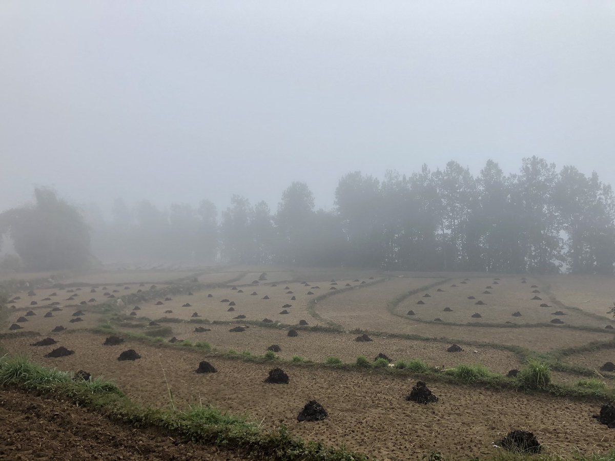 अब के को पालो?😁😁