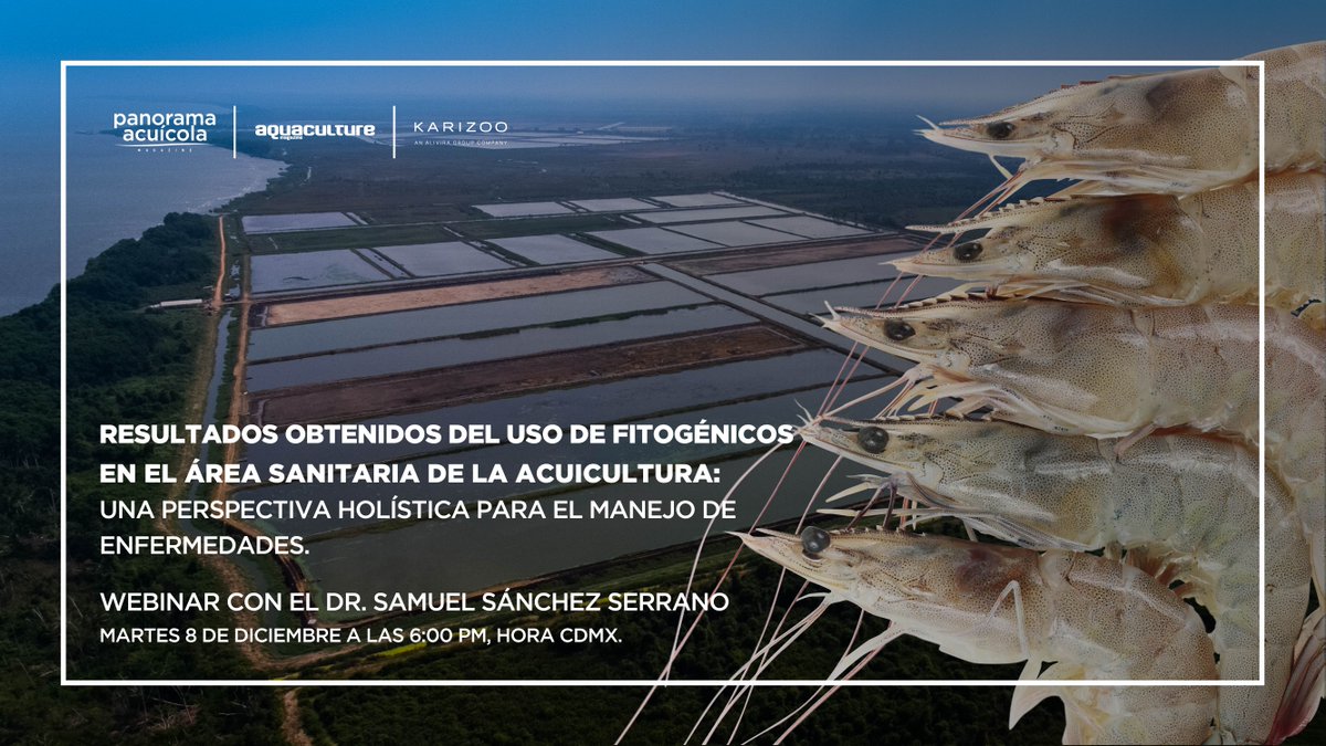 PanoramAcuicola's tweet photo. ¿Estás listo para saber qué son los FITOGÉNICOS?
  
No te pierdas el Webinar del Dr. SAMUEL SÁNCHEZ SERRANO.

WEBINAR SIN COSTO:  https://t.co/PR5HKe6w58 https://t.co/4NdH1reCSe