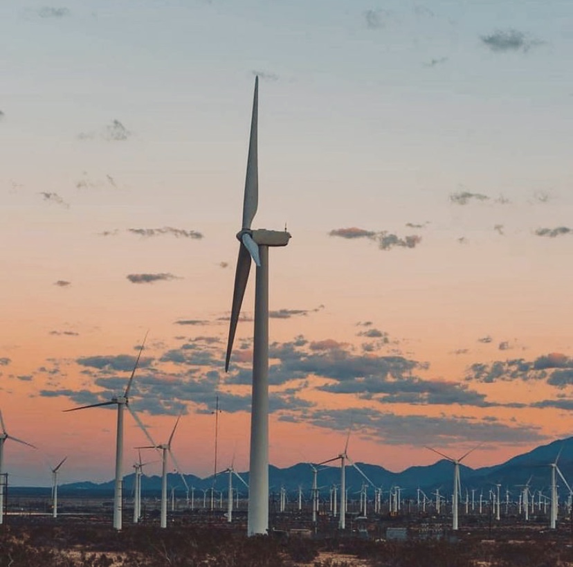 HotelPaseo's tweet photo. You know the adventure has begun when you see the windmills... #FindYourPath #ExactlyLikeNothingElse
Photo: @imjosereyes https://t.co/pi6NSYNvQC