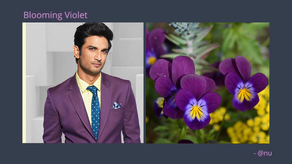 Tried representing our Sushant with different flowers here in this thread :) RT and share if you liked them! #SSRDeservesJustice