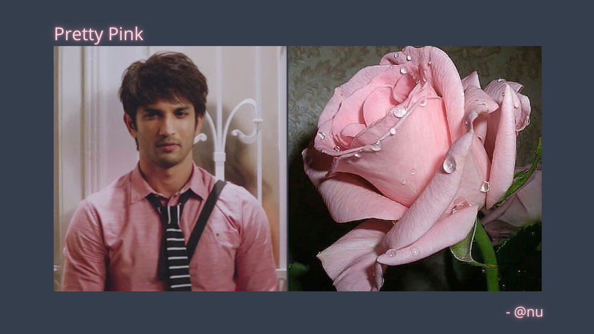 Tried representing our Sushant with different flowers here in this thread :) RT and share if you liked them! #SSRDeservesJustice