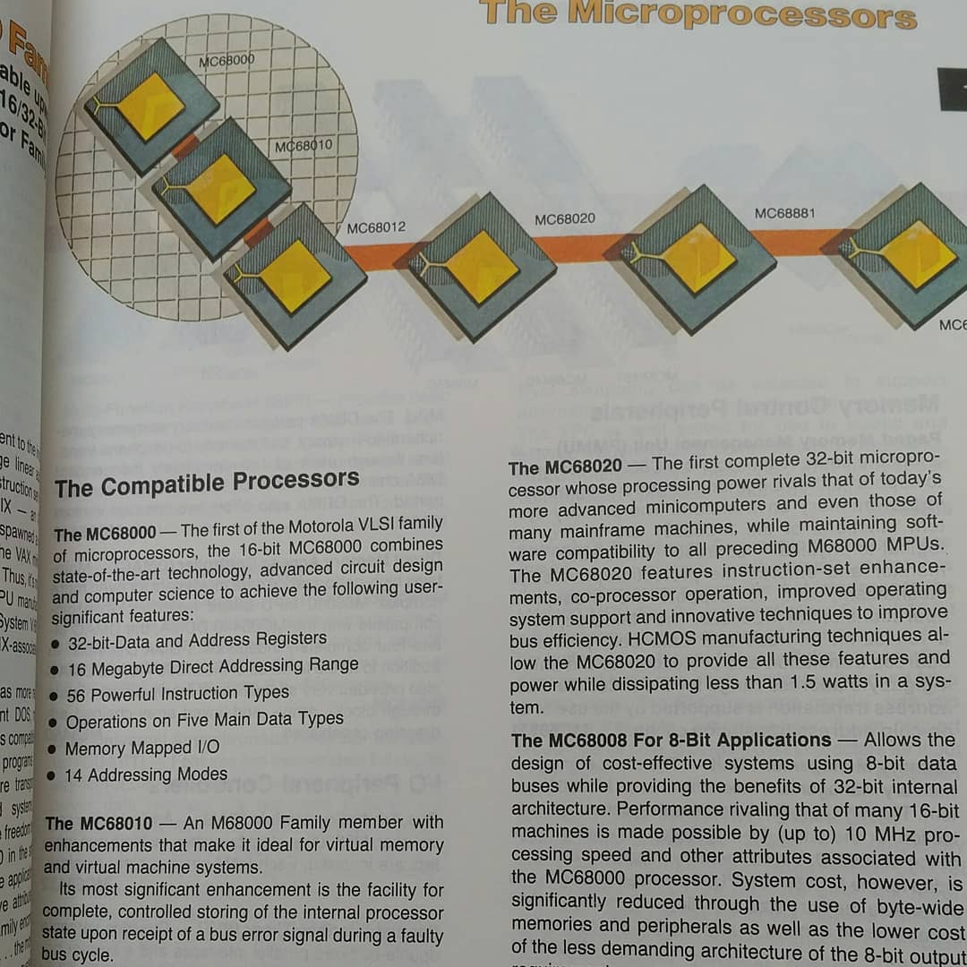 tamhanna's tweet image. #hrelektronika sometimes give free #databooks to customers. This time, we got a #motorolasemiconductor selection guide with lots of text on the #mc68000 and related processors. #vintagecomputer people should know them from various systems, but they…

📸 instagram.com/p/CH9MmxzjJXa/