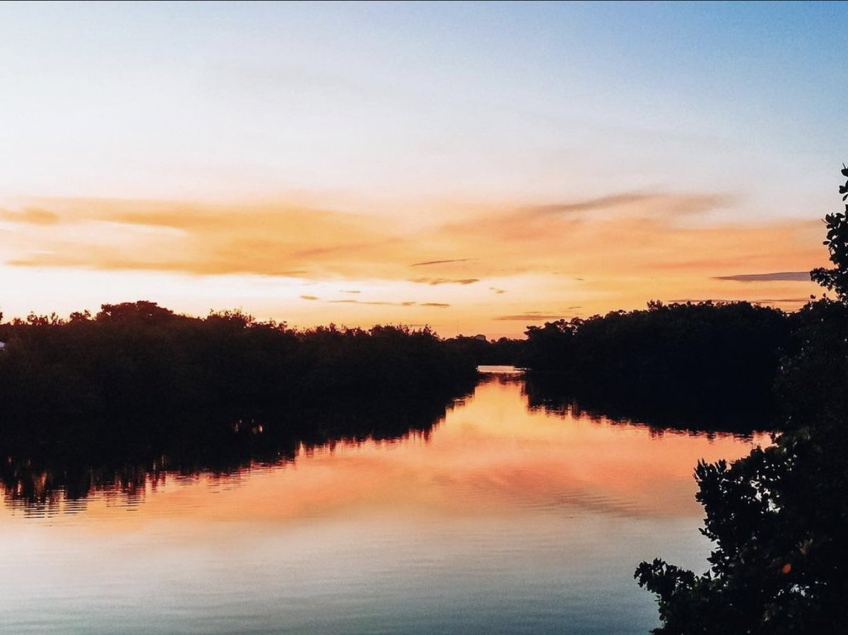 FOLKStweets's tweet photo. Another beautiful sunset at Lovers Key State Park! Come out and visit and become a member of Friends of Lovers Key (FOLKS) today! https://t.co/eQ7FulDUUh