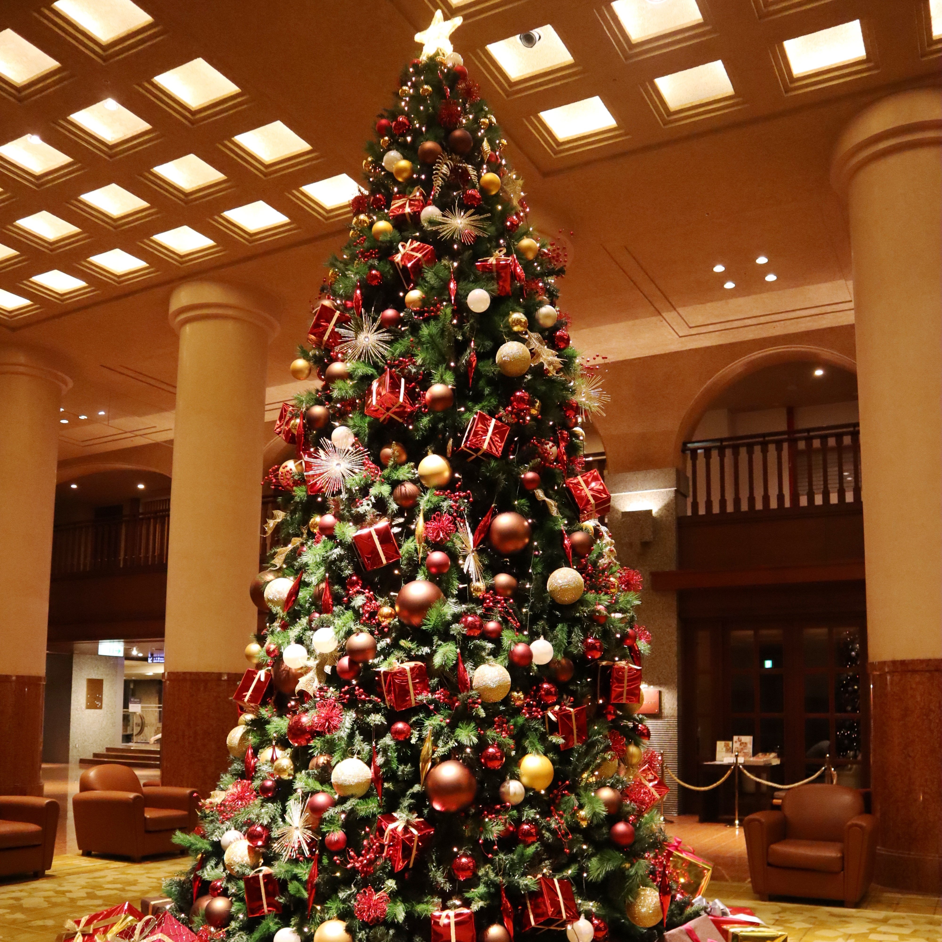ホテルオークラ京都 Auf Twitter 高さ約5mの大きなクリスマスツリー 京都ホテルオークラのメインロビー中央には 大きなクリスマスツリーが煌びやかな輝きとともに皆様をお迎えしています 12 25 水 まで ロビーにはクリスマスの華やかな空気が漂います ぜひ