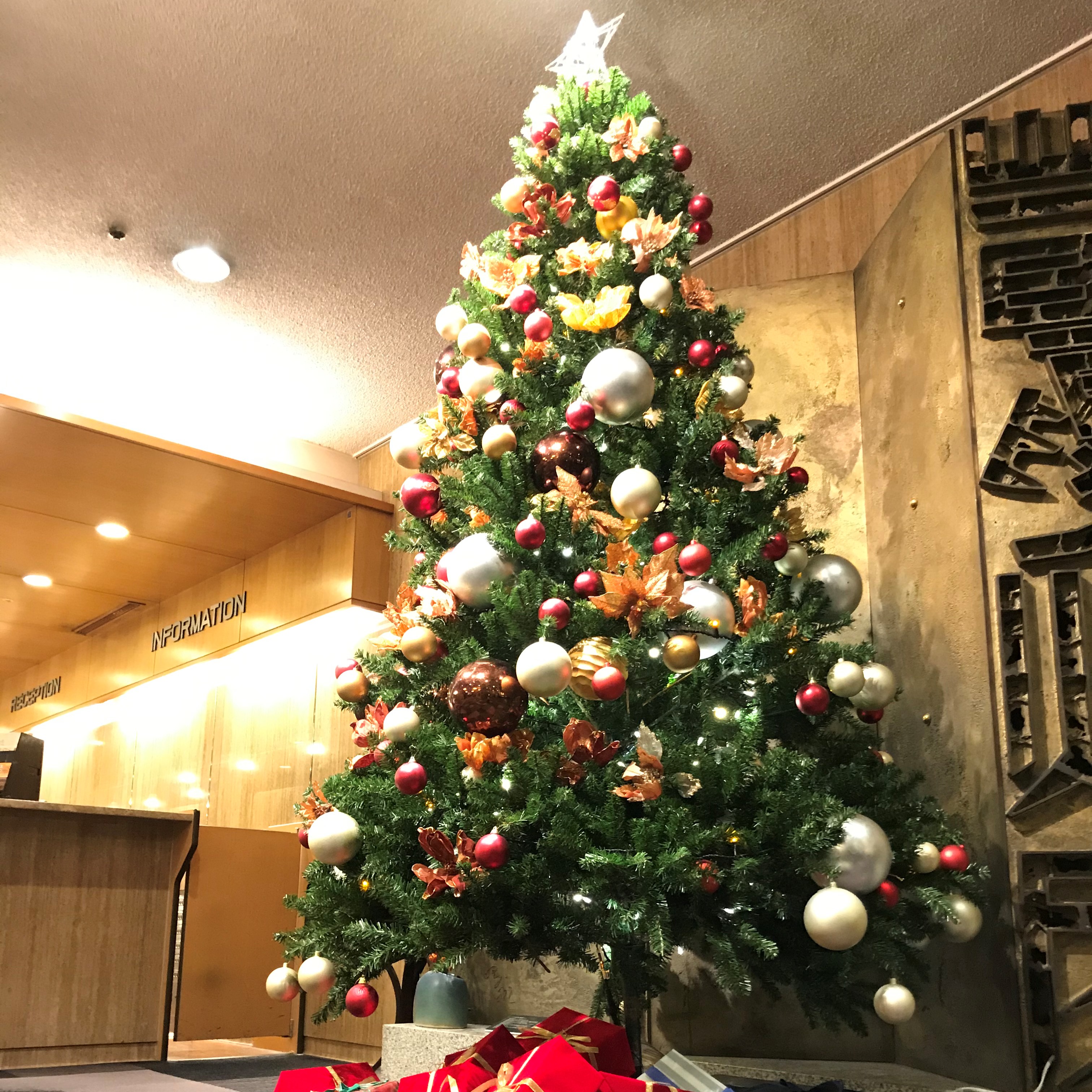 からすま京都ホテル クリスマスツリーが登場 もうすぐ12月 冬の足音が聞こえる頃となりましたね からすま京都ホテル 1階ロビーも クリスマスの装いに クリスマスツリーをはじめ ポインセチアなどが飾られ 華やかな装いでお客様をお迎えしており