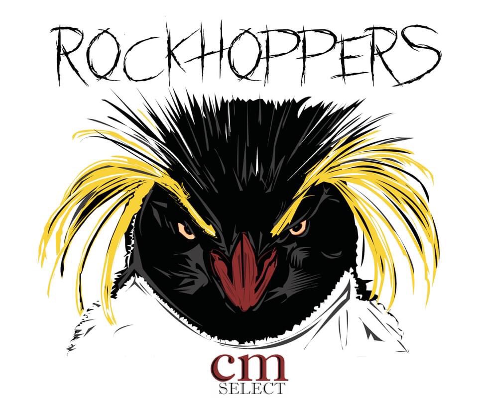 TSCook05's tweet photo. I just found out I made the CM Select Spring Football Team. #badasspenguin #66Tyler @NCSA_Football @ncsa @PlayBookAthlete @AYF @CoachJimBennett @BillJNash1 https://t.co/7WlO2gnx9B