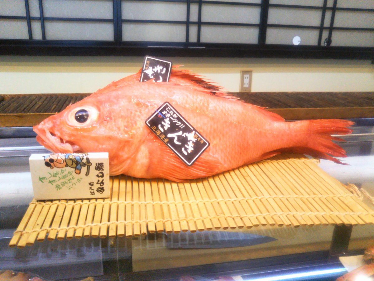 高級魚 高級魚
