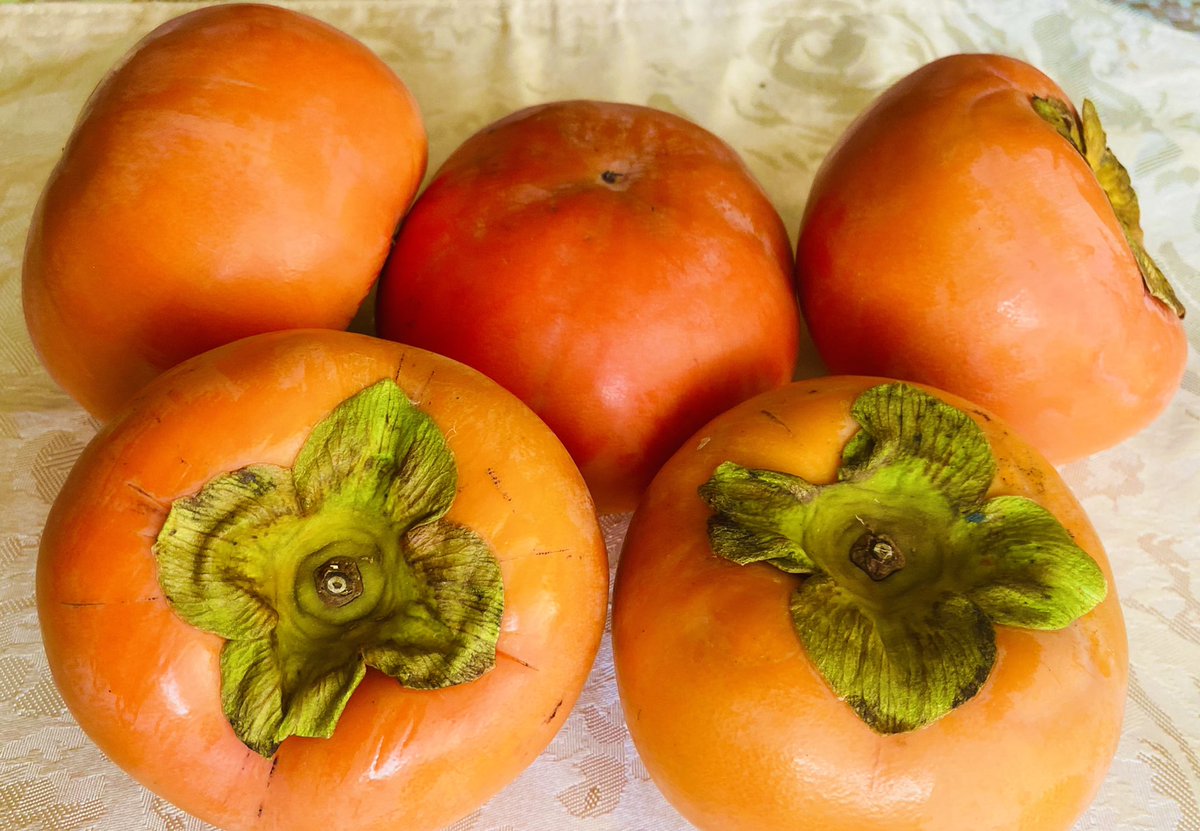 空気がキューンと冷たくなって秋の終わりを感じますね。
冬支度しなきゃね😊
#干し柿 #水彩画  #アクリル #動物 #ほのぼの #連休明け #晩秋