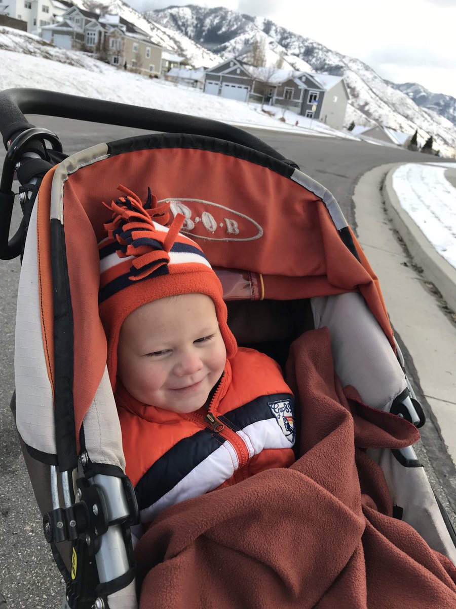 I love taking this little guy for walks—it’s been one of the most enjoyable routines I’ve had during the pandemic! #givethanks