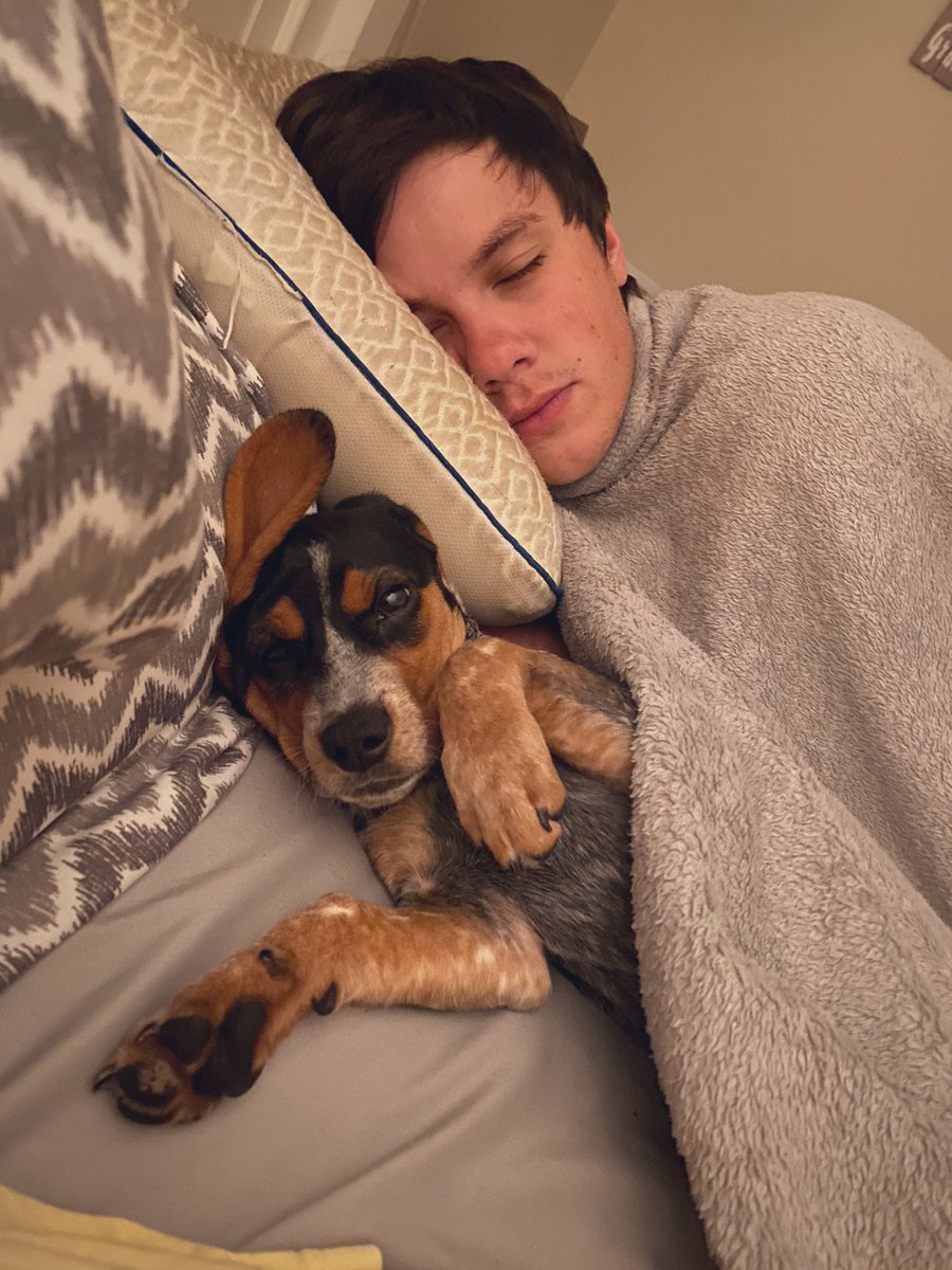 SydVish15's tweet photo. So beyond thankful for my loving fiancé who’s also the best dog dad ❤️ https://t.co/yKd6zJqlQP
