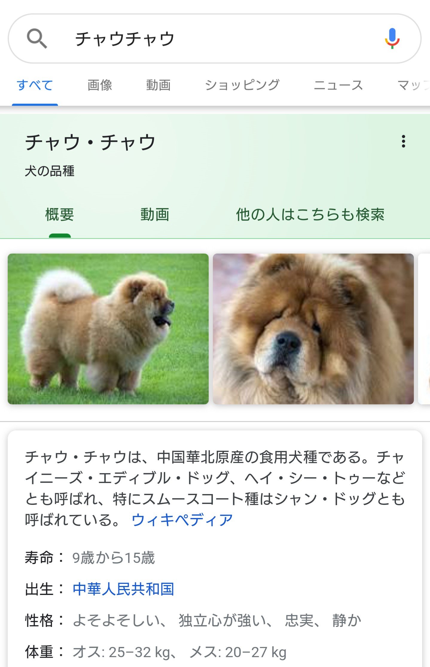 無毒だよ なめろうサラダバー En Twitter 秋田犬とチャウチャウって近いんだ と思ってチャウチャウをググッたら悲しみが表示された チャウチャウ おまえ T Co Abpvknk6zi Twitter