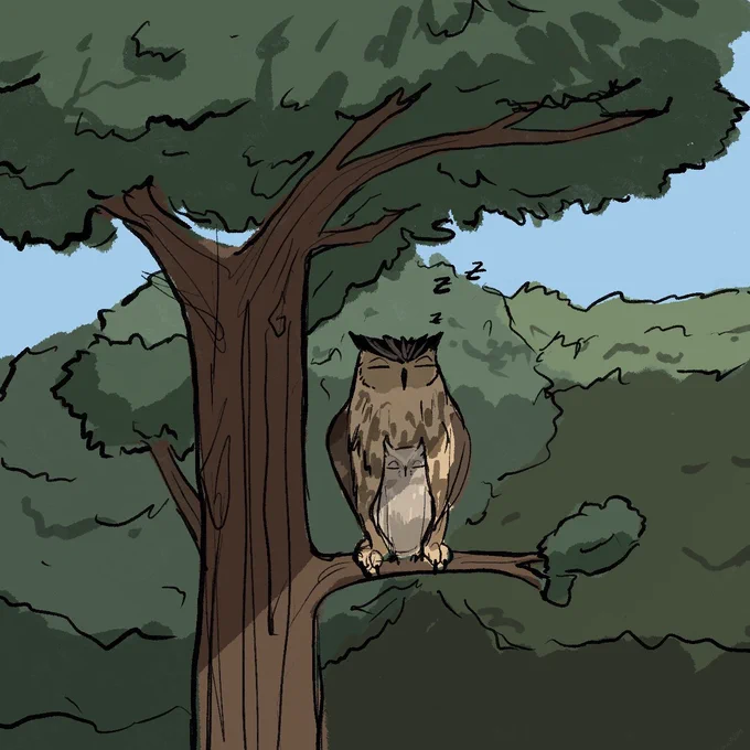 Owl Washio and Konoha.
Based on their names, Washio is a Eurasian Eagle-Owl, and Konoha is a Eurasian Scops Owl.

#washikono 