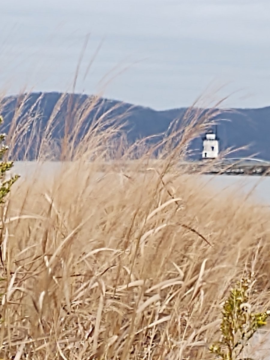 Drkensilvestri's tweet image. The late autumn brush lens connects me with the lighthouse that relates to the palisade mountain range participating with the hudson river's infinite non static ecological interdependencies to explore this #transcontextual moments in motion...