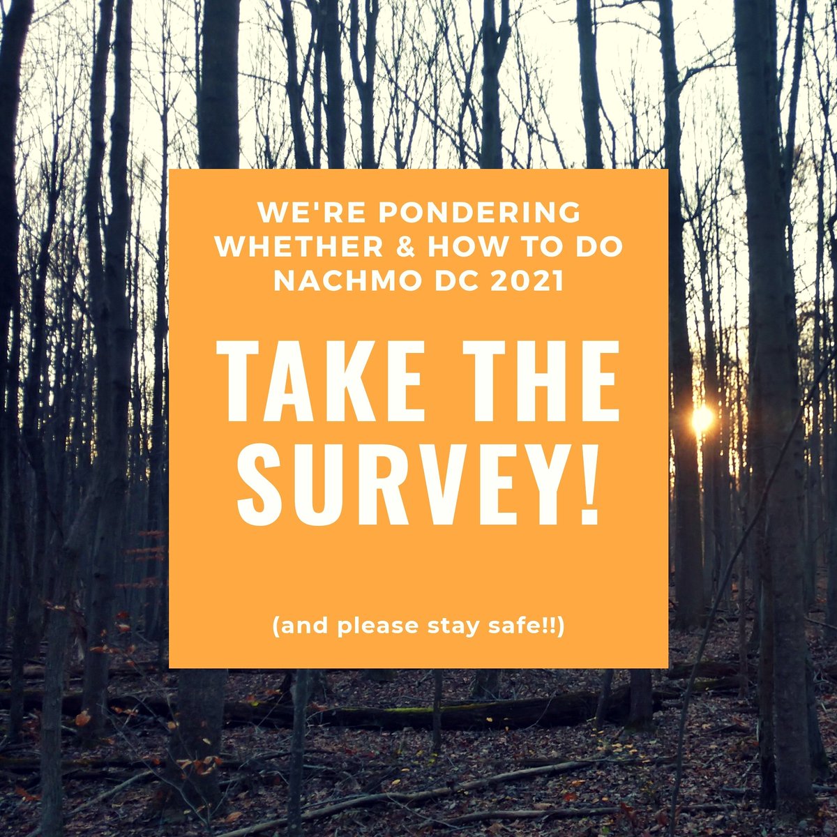 Will NACHMO DC 2021 happen? We're figuring that out, and we need you! 
Here's our short survey to gauge interest in a virtual-only NACHMO:
tinyurl.com/ndc21survey
#nachmo #nachmodc #nachmo21 #dcdance #dmvdance #202creates #acreativedc <a href="/NACHMOdance/">NACHMO</a> <a href="/DanceMetroDC/">Dance Metro DC</a> <a href="/DancePlace/">Dance Place</a>