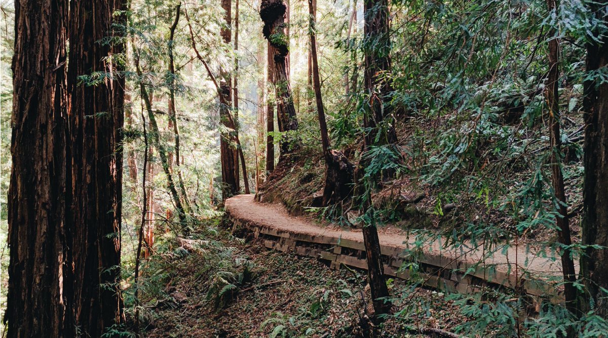 Xiaomi's tweet image. Two shots, two perspectives, both amazing. These were taken on the #Mi10TPro. 📸 We’re now gonna leave it to you to decide whose picture is more #BeyondThePostcard. Vote for your favorite now!
1️⃣ Luis Guanzon
2️⃣ @moment 
#PowerYourCreativity