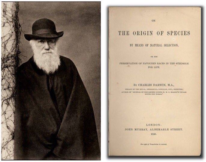 On The Origin Of Species By Means Of Natural Selection