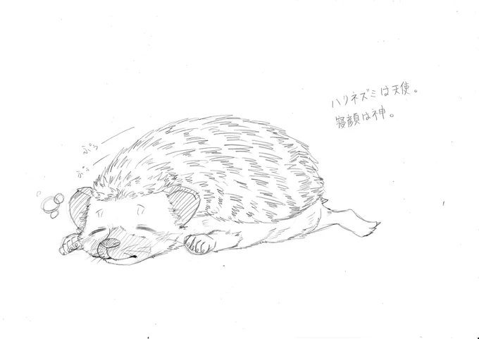 描いて投稿したはりちゃが余りにも
下手くそすぎたので、
もう1枚描き直そうと思ったけど

やっぱ気が変わったんで
寝顔のマンガっぽいはりちゃ描いたw

あとハリネズミのイビキは
ぷーぷー言うらしい。
なんて可愛い…?

#ハリネズミ
#私の絵柄が好みって人に見てもらえたらハッピー 