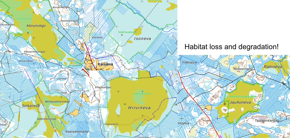 Last I take you back to the Finland, where protected mires with ditched (blue lines) surroundings are common in S and C Finland. These old ditches outside protected areas (PAs) are still causing substantial habitat loss and degradation inside PAs.  #biodiversityloss17  #BOUsci20