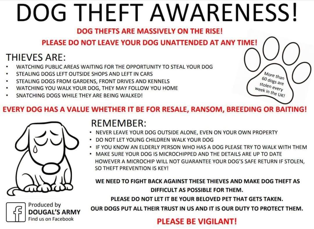 second chance goldens