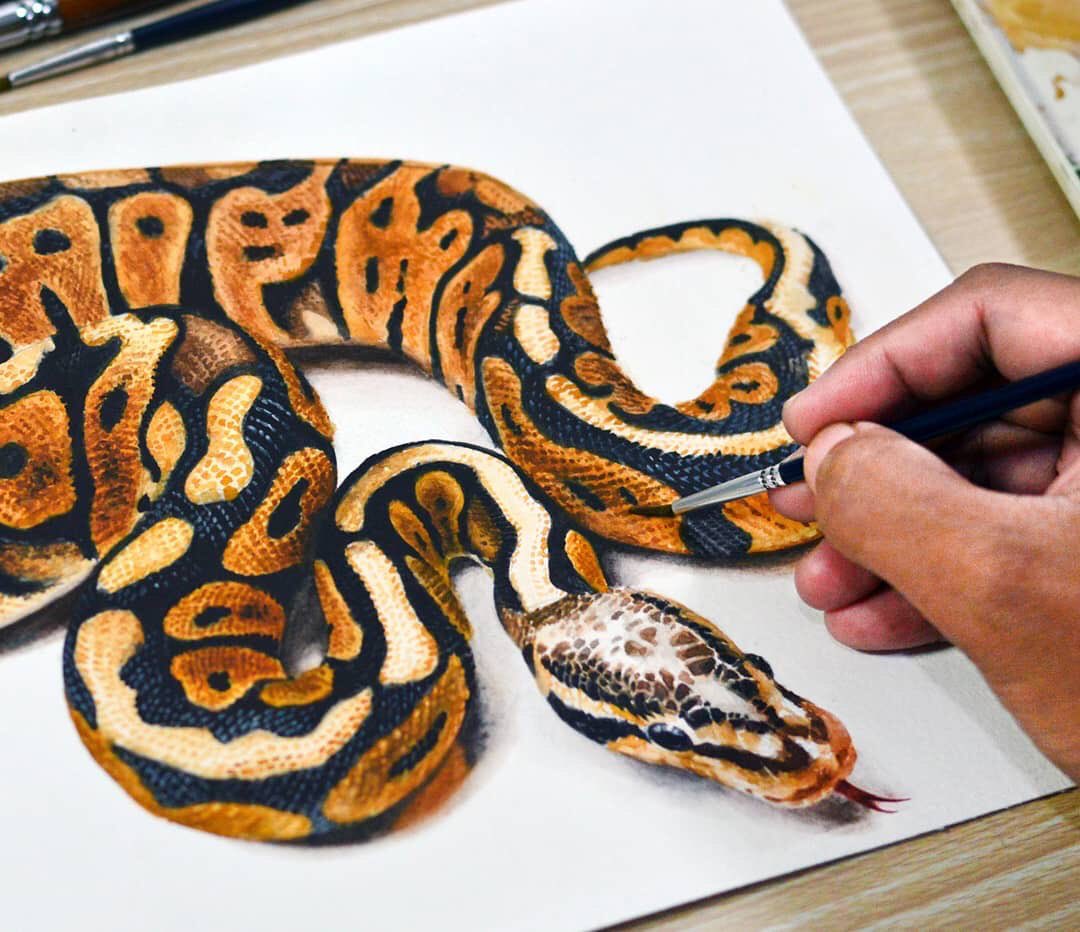 Snake 🎨

#watercolorpainting #paintingprogress #snakepainting #watercolorpainting #realisticwateecolor #artwatercolor #watercolordaily #sharewatercolor #catair #melukis #catairindonesia #menggambar #ular #aquarelle #aquarell #aquarella