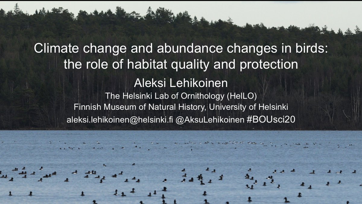 This is my twitter presentation in  #BOUsci20 conference on  #climatechange and abundance changes in  #birds: the role of habitat quality & protection. Its essential for conservation to understand reasons of changes in species’ abundances. Thanks for invitation  @IBIS_journal! 1/n