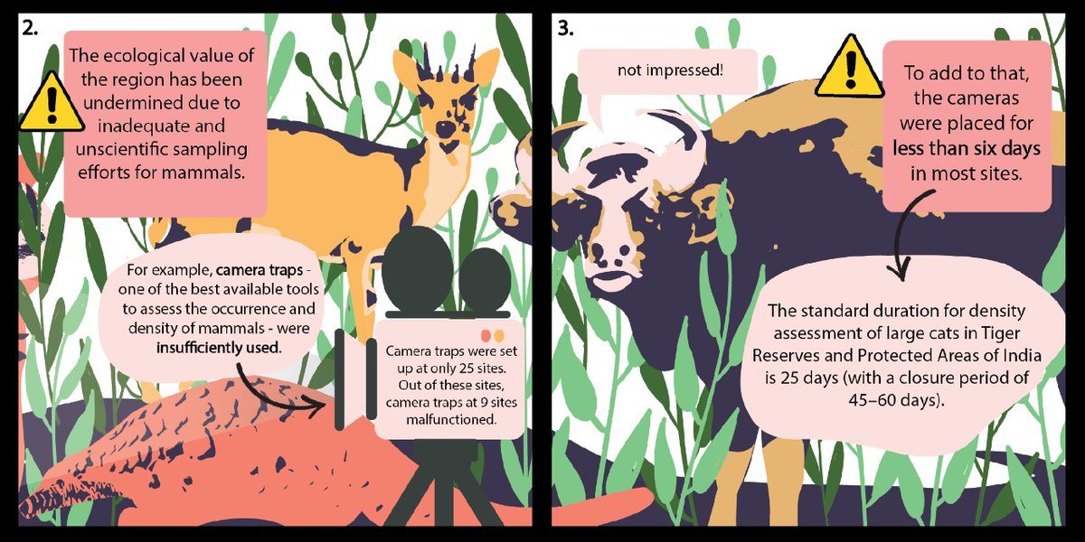 Only 23 species of mammals were reported, when in fact, there are nearly 60 species found in Mollem. The report used INADEQUATE and UNSCIENTIFIC sampling efforts for mammals and hence the under-reporting. (6/n)