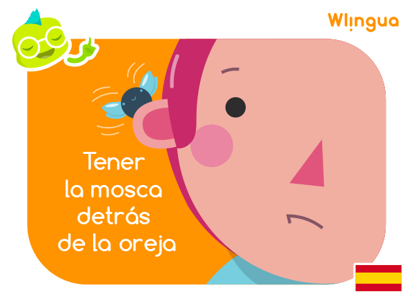 Cuando tienes dudas o sospechas que algo no está claro, decimos que tienes la mosca detrás de la oreja.    #lovespanish #learnspanish #spanishlesson #aprenderespañol #español #spanish #spanishcourse #cursoespañol