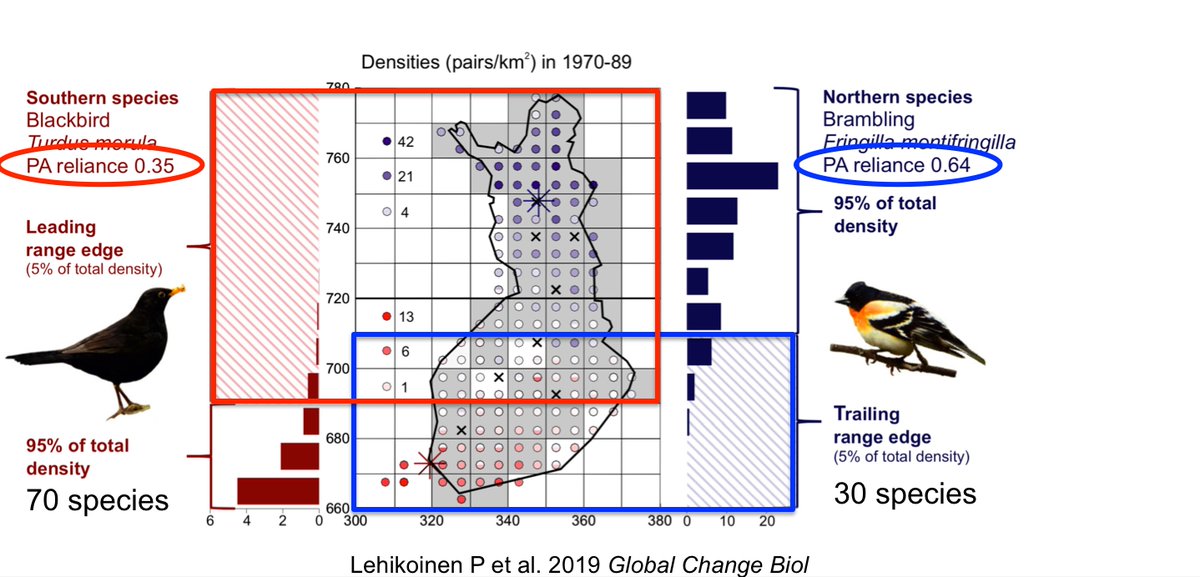 We investigated long-term changes in densities of southern species at the leading edge (70 sp, red) and northern sp at trailing edge (30 sp, blue) in both inside & outside protected areas (PA). PA reliance value showed that northern sp prefer PAs but southerns don’t. 7  #BOUsci20