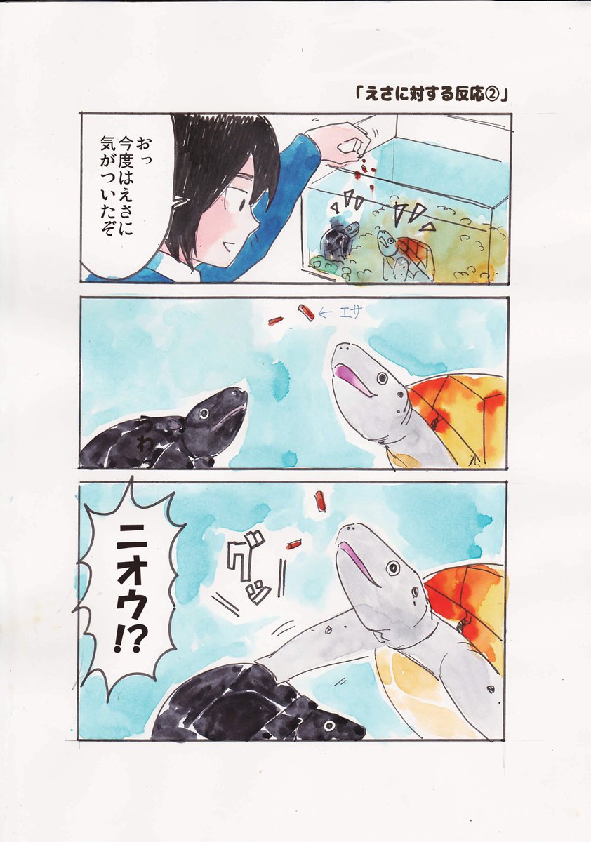【再掲】愛亀ニオウとジロウの漫画「カメは今何を思う」
画像1・2枚目が初期(2019年1月頃)の漫画で3・4枚目がそれを絵柄変えて描き直したやつ
まとめ→https://t.co/RiMGFzzXWF