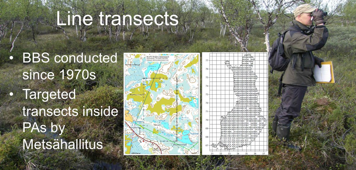  #Finland has a long history of bird line transects, which is the official  #breeding  #bird  #survey method including protected areas since 1970s coordinated by  @luomus  @helsinkiuni  @BirdlifeSuomi  @Metsahallitus. All this enables large scale long-term dataset.  @_EBCC 6  #BOUsci20