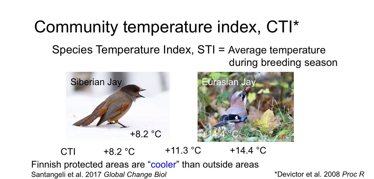 The speed in the community change was measured using  #CommunityTemperatureIndex, CTI, approach:  https://royalsocietypublishing.org/doi/abs/10.1098/rspb.2008.0878. Positive CTI change means increasing dominance of warm-dwelling  #species compared to cold-dwelling species as expected due to  #climatechange. 12  #BOUsci20