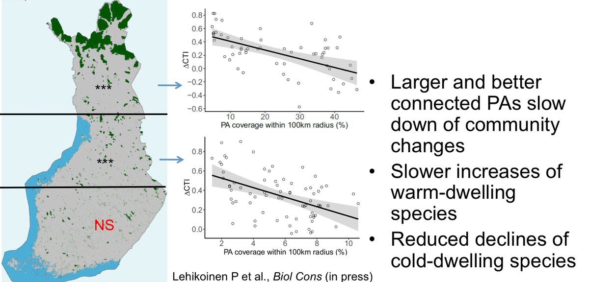 We found neg. connection between community temperature index, CTI, change and protected area (PA) coverage in N & C Finland: larger & better connected PAs can slow down the  #climatechange driven community changes. In south PA network too sparse to make a difference. 13  #BOUsci20