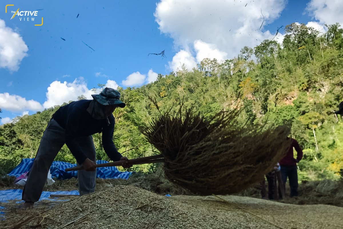 theactive_net's tweet image. &quot;เกี่ยวข้าวไร่หมุนเวียน กับชาติพันธุ์กะเหรี่ยงปกาเกอะญอ&quot; บ้านโปกกะโหล้ง อ.กัลยาณิวัฒนา จ.เชียงใหม่ อีกหนึ่งชนเผ่าพื้นเมือง ที่ยังคงวิถีภูมิปัญญาดั้งเดิมไว้ได้มากที่สุด 

theactive.net/view/s-gaw-ric… ผ่าน @theactive_net #ActiveView #ไร่หมุนเวียน #ภูมิปัญญา @Link_ThaiPBS