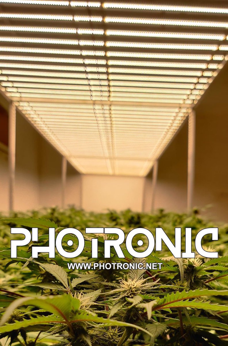 thegrowden's tweet photo. Photronic grow lights now available at The Grow Den💡💡💡#photronic #growlights #samsung #indoorplants #southafrica #cannabisclubsa #capetowncannabisculture #capetown #cannabiscommunity #southafricancannabissociety #cannabissouthafrica #cannabissociety #indoorgrow https://t.co/8kg9kk8y97