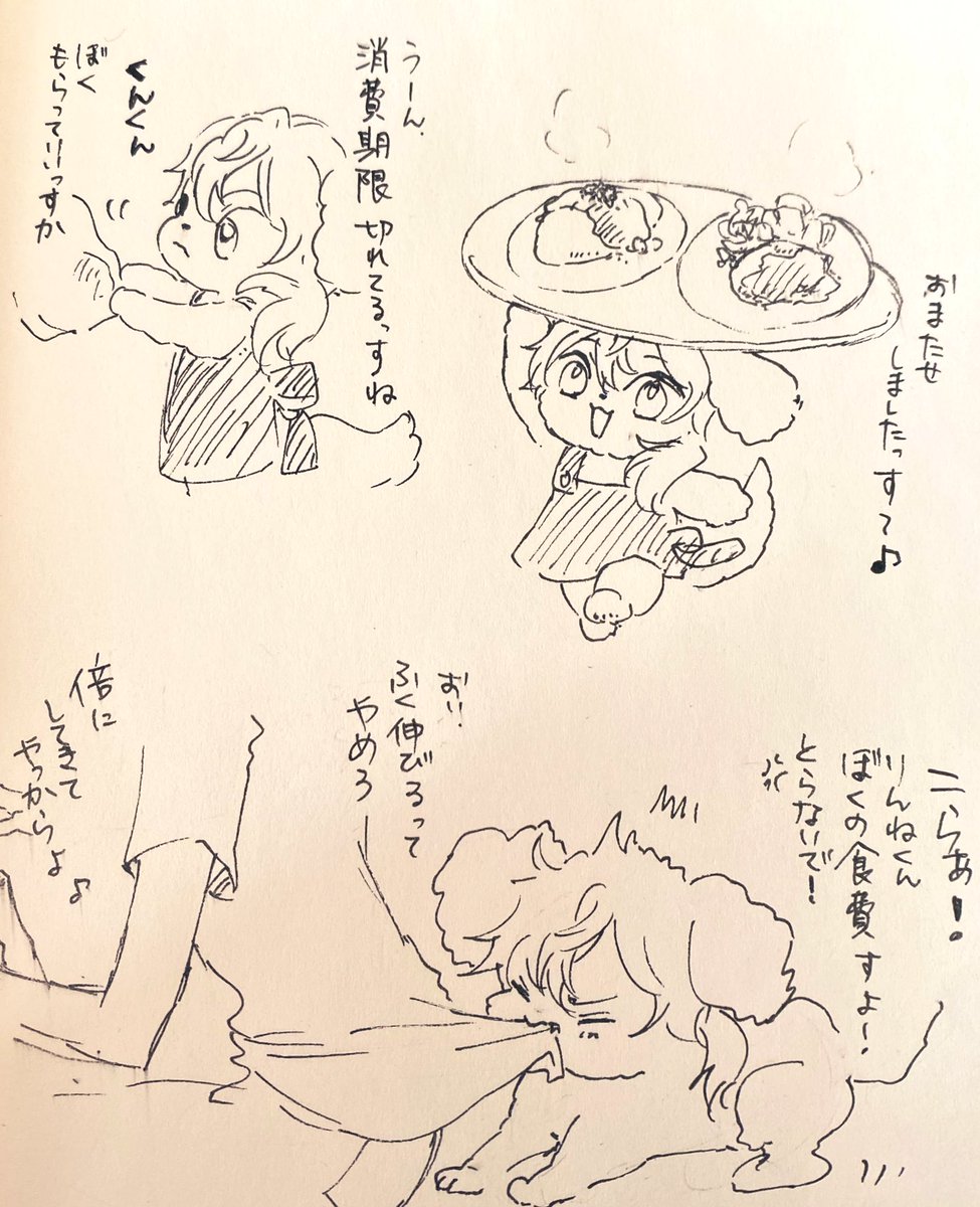わんわんニキ。

わんわんになることにより、りんねが余計にひどいやつにみえる... 