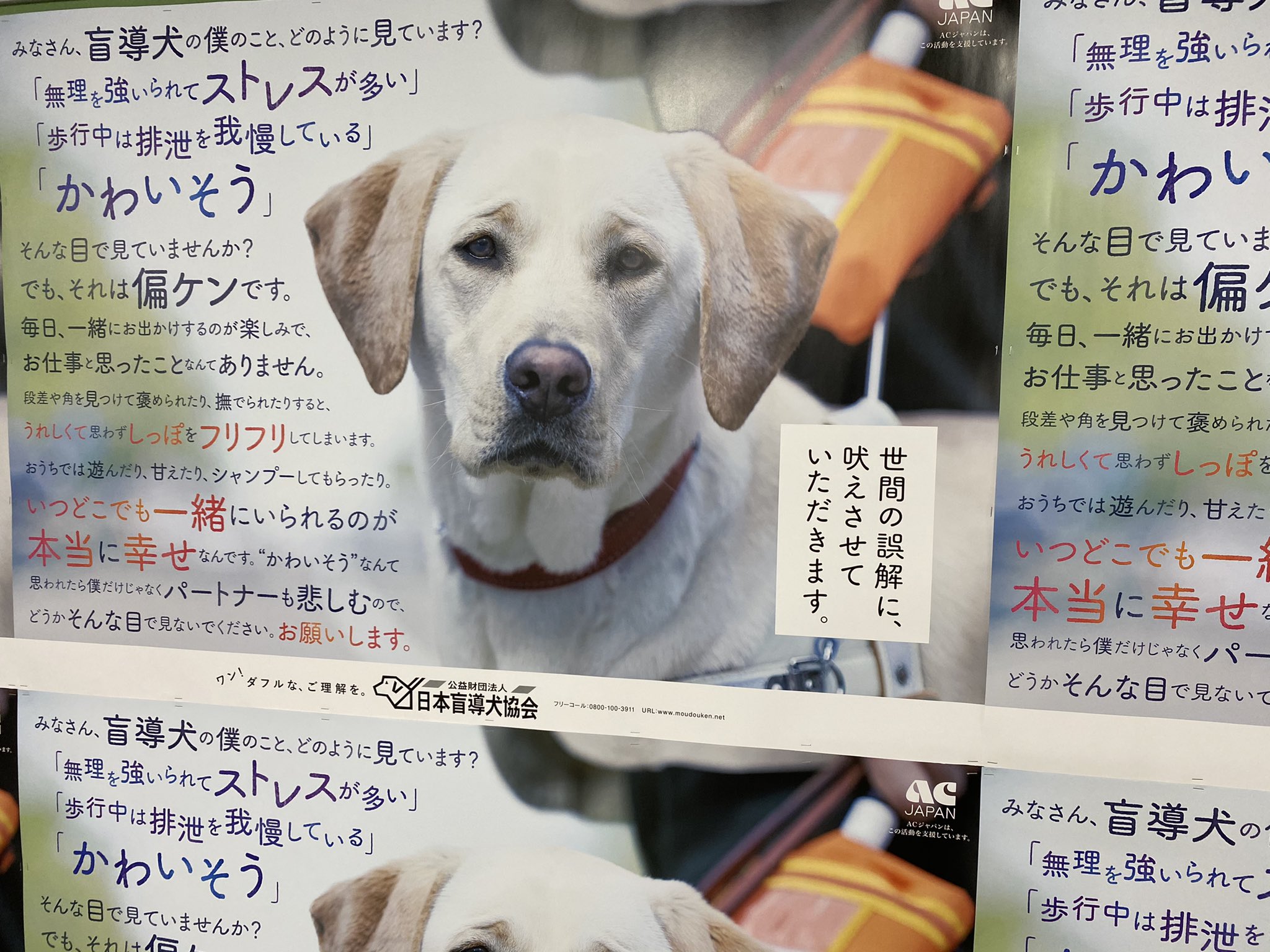 石戸諭 東京ルポルタージュ 発売中 盲導犬協会さんのめちゃいいポスター 世間の偏ケンと誤解に大いに吠えてほしい T Co L8fx69egcr Twitter