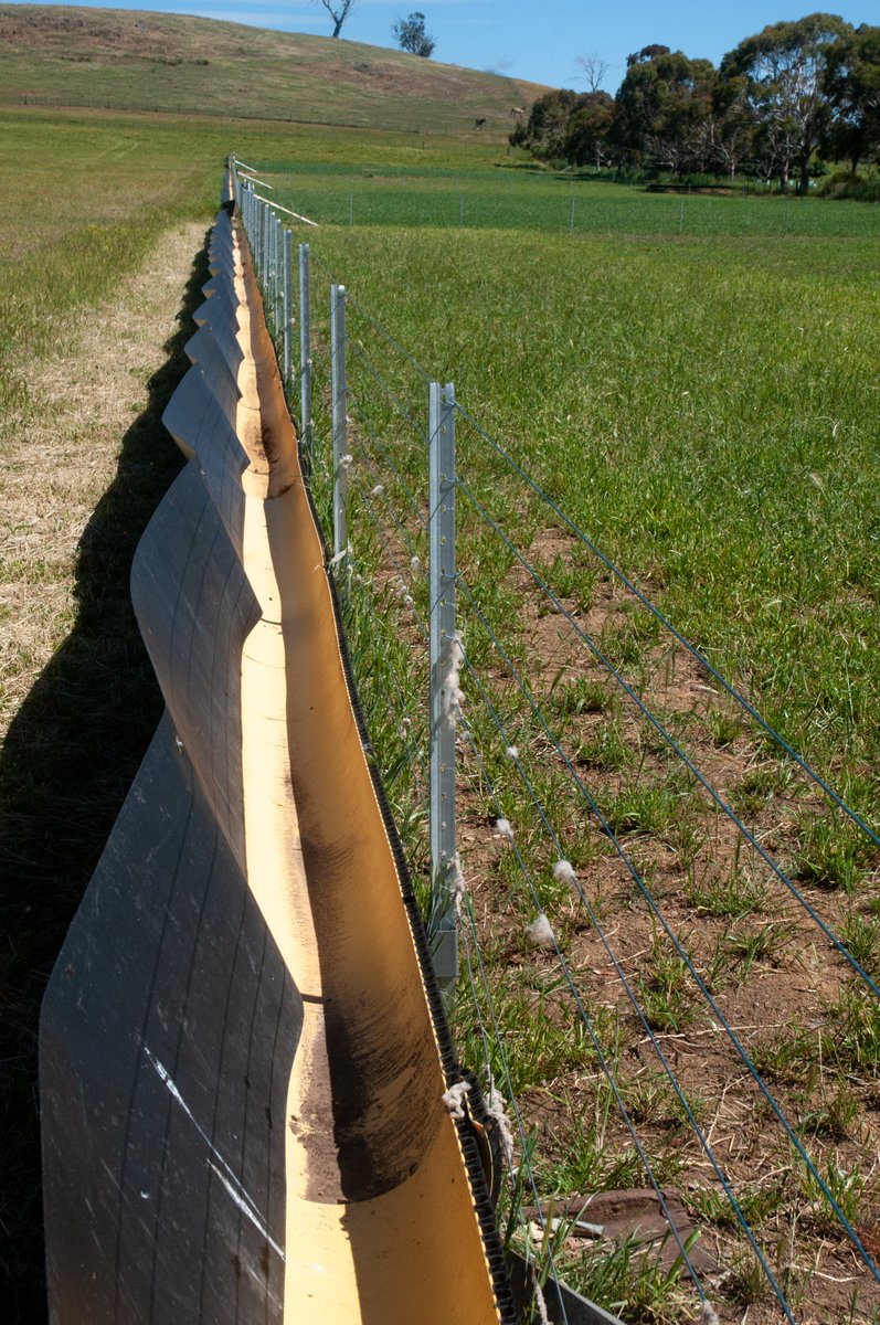 NRMSOUTH's tweet photo. Drought lotting field day in Bothwell. Through the Derwent Pasture Network, farmers are sharing expertise on how to adapt and take pressure off Tassie pastures to combat soil & moisture loss. Visit https://t.co/u0gapR5p2H @DeptAgNews @AusLandcare #1000soflocalsolutions #NRM https://t.co/BrYlYRH6Ru