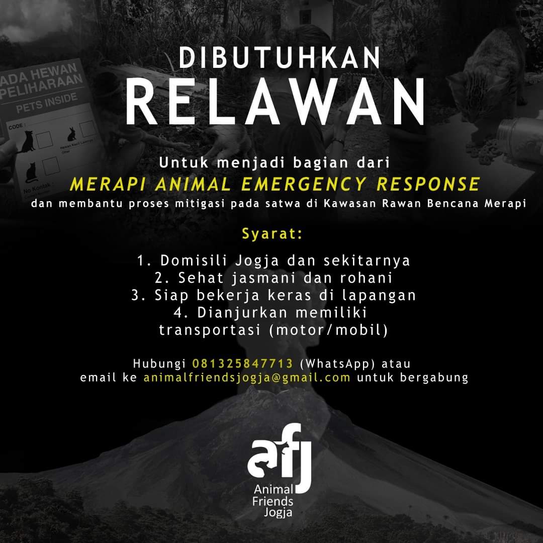 Mohon bantuan untuk menyebarluaskan ya. Saya teruskan dari Komunitas Animal Lover Jogja..
#MerapiSiaga 

<a href="/jalinmerapi/">JALIN Merapi</a> <a href="/merapi_uncover/">Merapi Uncover</a> <a href="/frekom_diy/">FREKOM Merapi</a> <a href="/tanggapmerapifm/">Radio Tanggap Merapi</a> <a href="/JogjaUpdate/">jogjaupdate.com</a>