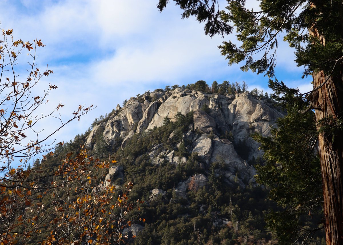 escalex17's tweet photo. Decided very late last night that I was finally going to try and use the nice camera I bought a few months ago by going on a much needed solo drive/hike today. Got a few nice pics but these are some of my favorites. AND I still made it home for zoom class at 5 😌 https://t.co/45Vp3xoERb