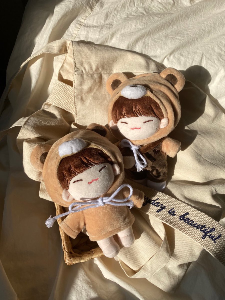 Seventeen ホシ ぬいぐるみ スンドリ 15cm Whirledpies Com