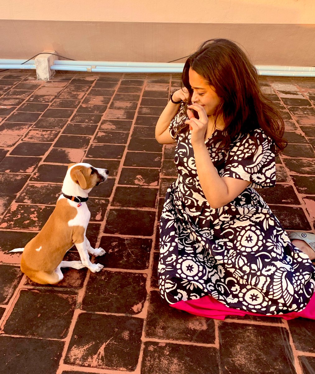 And here we are again! Our little Cookie is looking for a permanent home! She’s 3 months old, will complete vaccinations tomorrow and is on her way to being house trained. Please help her find a home 💜#ChennaiAdoption #AdoptDontShop #Indie #PuppyAdoption