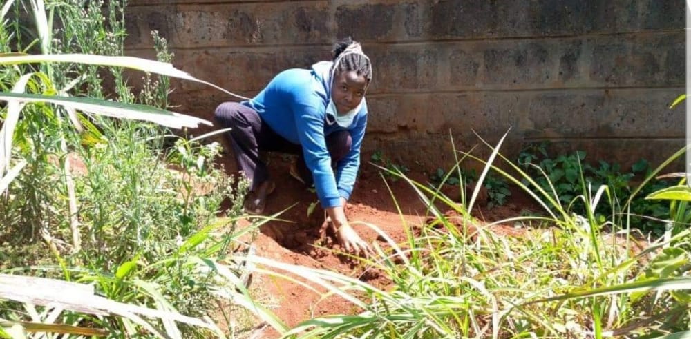 HeartsOfGreen's tweet photo. Have you joined the challenge today? Don't be left behind, plant a tree, take a photo, post and tag #dailytreeplantingchallenge.
Different parts of the country are having rain and lets take advantage and plant a trees.
@Environment_Ke
@UNEP
@KeForestService
@WaterTowersKe https://t.co/lZgyLhzRwT