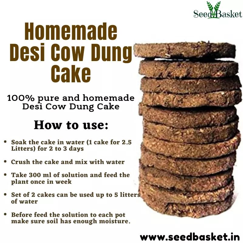 seedbasket's tweet photo. Home made desi cow dung cake.. 100% Pure. #cowdungcake #Cowdung #cow #USES #gross #feed #plants #soil #organicfarming #organic #Village #compost #culture #handmade #Plantfeed #TipTuesday #homegardening #gardenkit #seedbasket #Hyderabad #India Order Online: https://t.co/200m0ojBgV https://t.co/BIMh5i1NN4