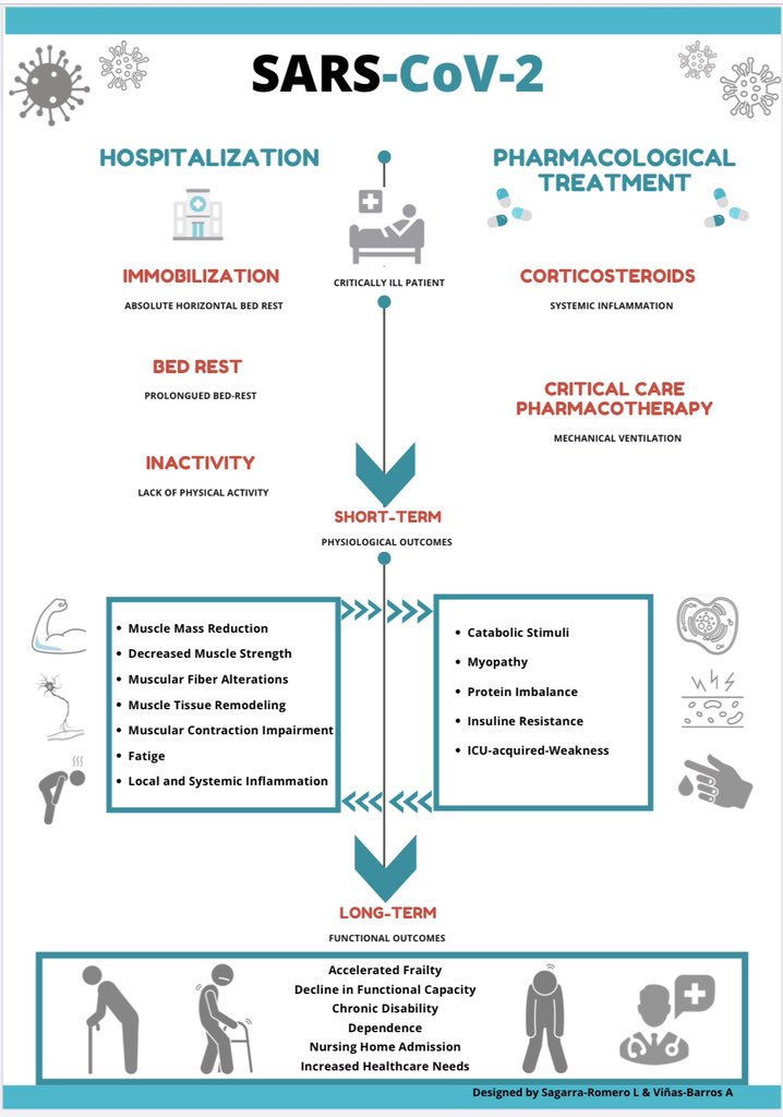 New INFOGRAPHIC🚨
“The effect of drug therapy treatment and long periods of bed rest on muscular weakness in elderly patients infected with COVID-19”
mdpi.com/1660-4601/17/2…
@IJERPH_MDPI @_usj_ 
 #COVID #infographic #Covid_19 #muscularweakness #COVID #SARSCoV2 #elder #frailty