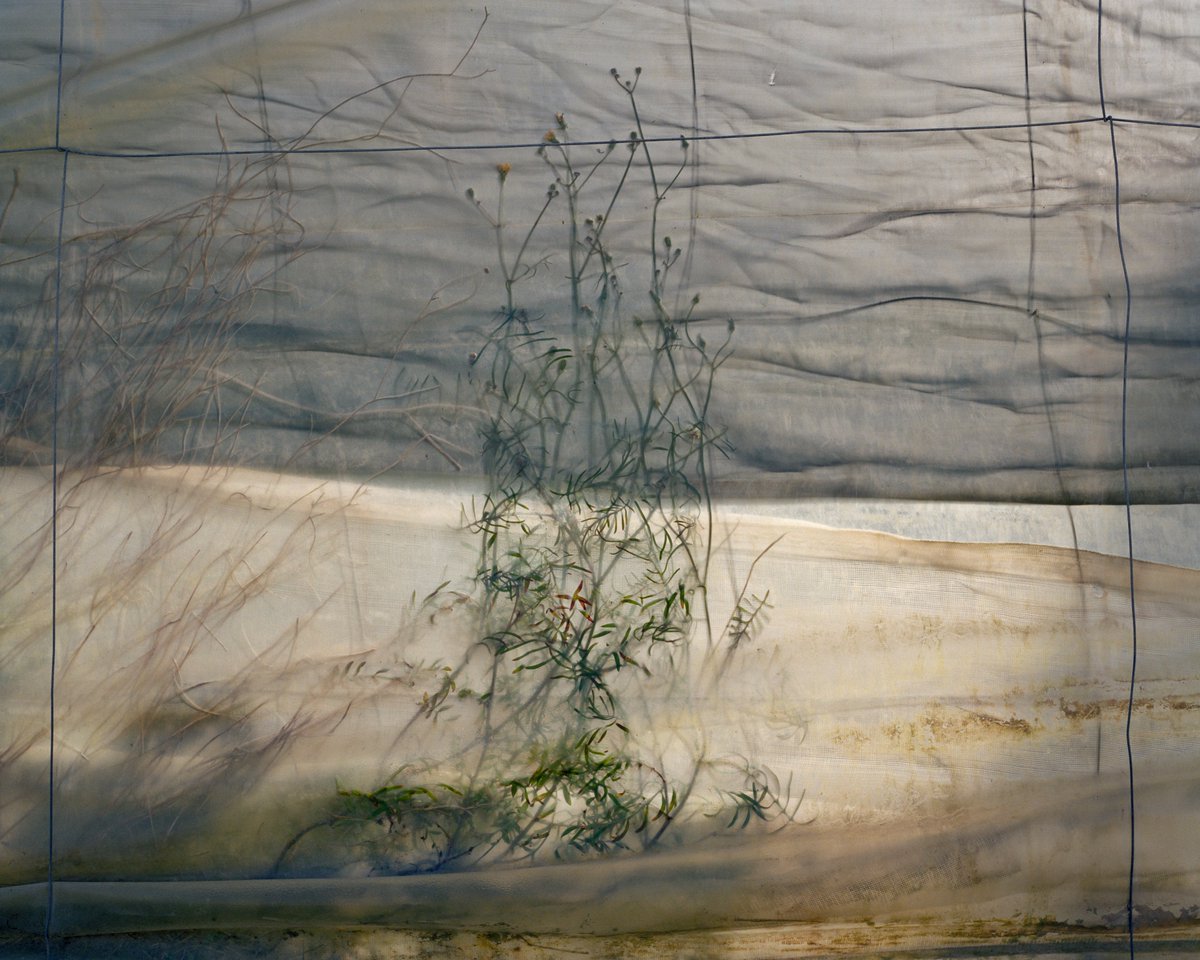 Sul British Journal of Photography l'intervista a una delle finaliste del MAST Photography Grant : Chloe Dewe Mathews excavates the Tabernas Desert's layered histories 1854.photography/2020/11/chloe-… via @1854