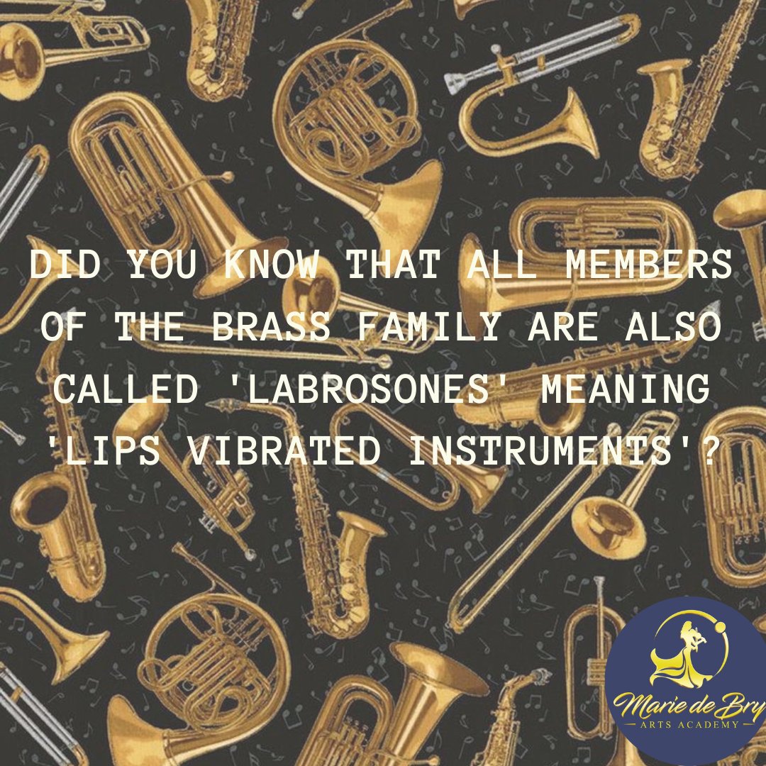 MdbArtsacademy's tweet photo. Brass instruments include the trumpet, french horn, trombone, saxophone and the tuba. We offer lessons for these instruments in our academy, book a lesson with us today.

#brassinstrument #learnmusic #musicislife #mariedebry #onlinelessons #musiclessons #trumpet #musiceducation https://t.co/vnKJxOyfXu